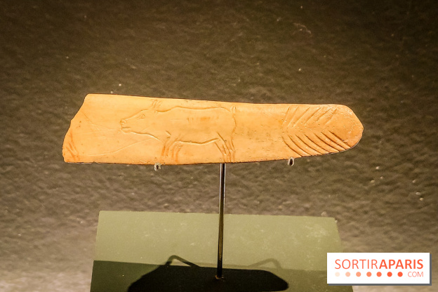 Arts et Préhistoire, l'exposition de peintures rupestres au Musée de l'Homme - nos photos