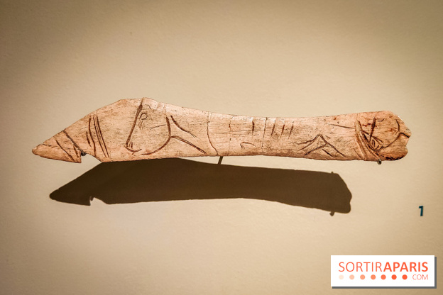 Arts et Préhistoire, l'exposition de peintures rupestres au Musée de l'Homme - nos photos