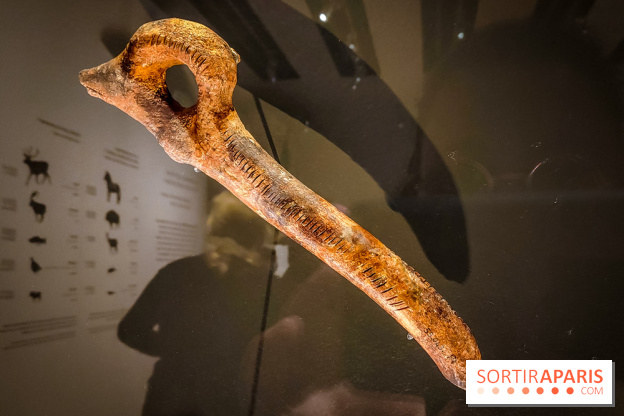 Arts et Préhistoire, l'exposition de peintures rupestres au Musée de l'Homme - nos photos