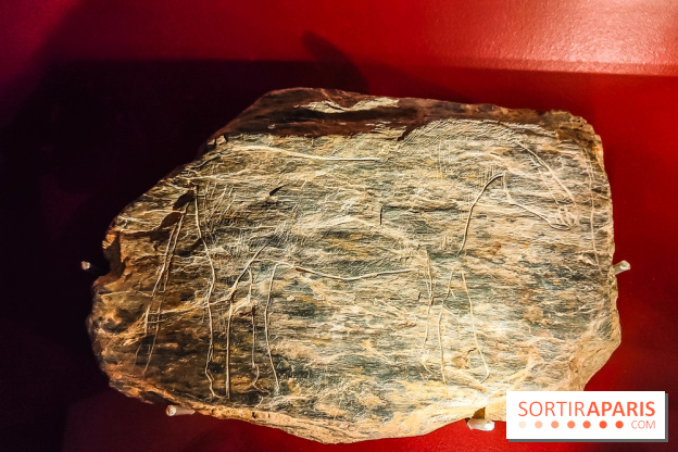 Arts et Préhistoire, l'exposition de peintures rupestres au Musée de l'Homme - nos photos