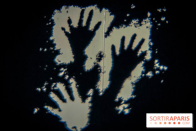 Arts et Préhistoire, l'exposition de peintures rupestres au Musée de l'Homme - nos photos