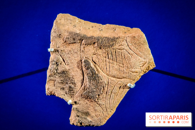 Arts et Préhistoire, l'exposition de peintures rupestres au Musée de l'Homme - nos photos