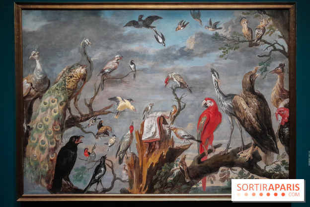 Musicanimale, l'exposition à la Philharmonie