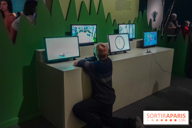 Musicanimale, l'exposition à la Philharmonie