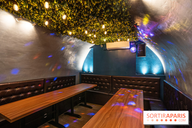 Dimdimsum Paris, le restaurant de vapeurs - karaoké