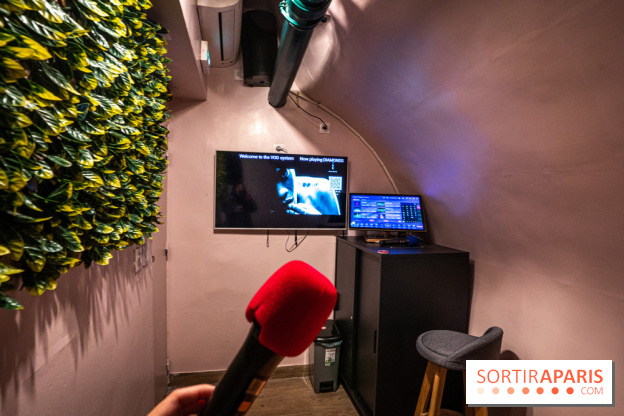 Dimdimsum Paris, le restaurant de vapeurs - karaoké