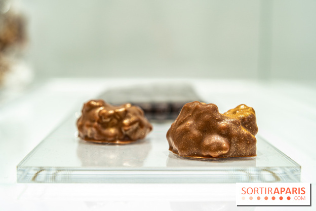 Jade Genin Chocolaterie Paris, les photos  - rocher chocolat lait