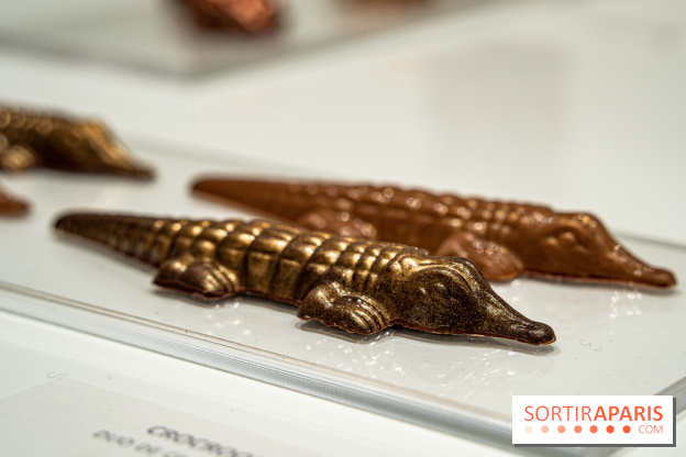 Jade Genin Chocolaterie Paris, les photos - crocodile praliné