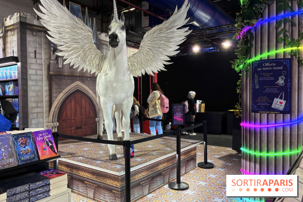 Salon du livre et de la presse jeunesse de Montreuil  - IMG 1227