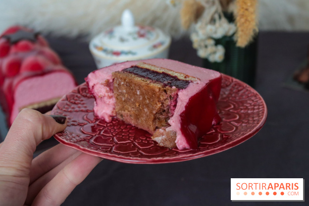 Les bûches de Noël 2022 d'oh oui!, la pâtisserie sans sucres IG bas- buche fruits rouges