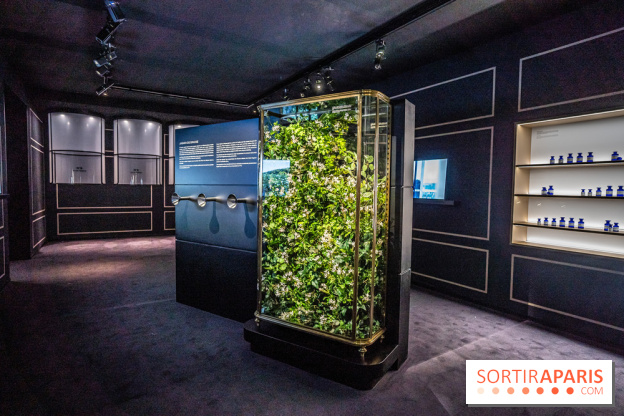 Exposition Le Grand Numéro de Chanel au Grand Palais Éphémère à Paris - senteurs - rose
