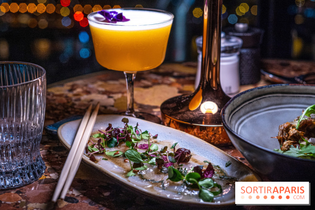 Too Restaurant - Too hôtel Paris - photos - menu - saint-jacques