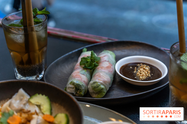 Entre 2 Rives restaurant vietnamien - houleux de printemps