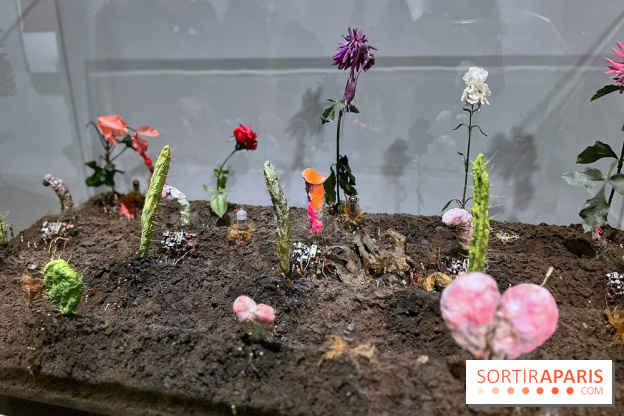 Les Choses au Musée du Louvre