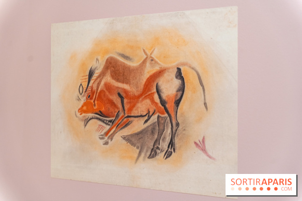 Picasso et la Préhistoire, les photos de l'exposition au Musée de l'Homme