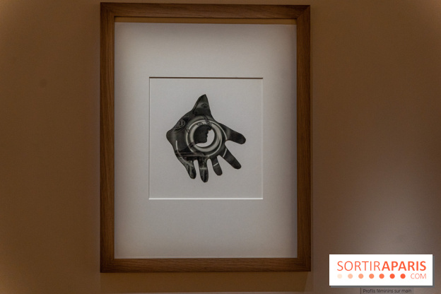 Picasso et la Préhistoire, les photos de l'exposition au Musée de l'Homme