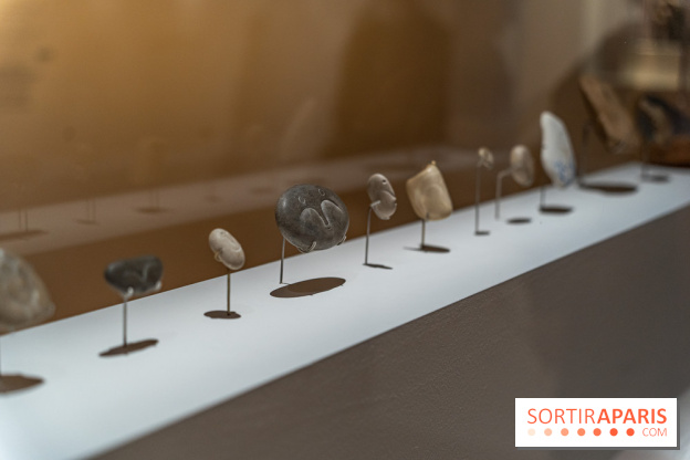 Picasso et la Préhistoire, les photos de l'exposition au Musée de l'Homme