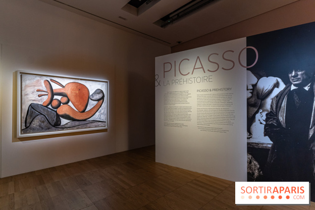 Picasso et la Préhistoire, les photos de l'exposition au Musée de l'Homme