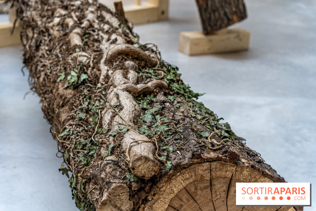 Exposition Avant l'orage à la Bourse de Commerce - Pinault Collection - urgence climatique