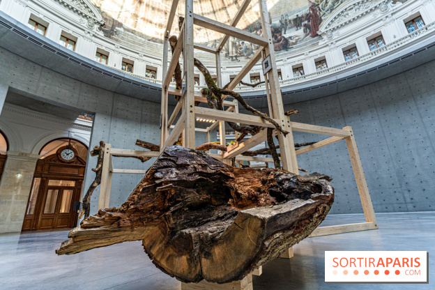 Exposition Avant l'orage à la Bourse de Commerce - Pinault Collection - urgence climatique
