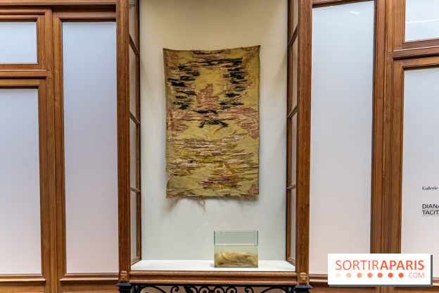 Exposition Avant l'orage à la Bourse de Commerce - Pinault Collection - urgence climatique