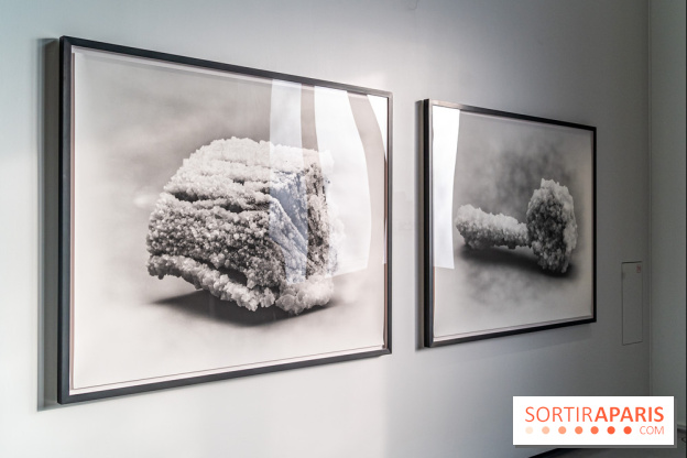 Exposition Avant l'orage à la Bourse de Commerce - Pinault Collection - urgence climatique