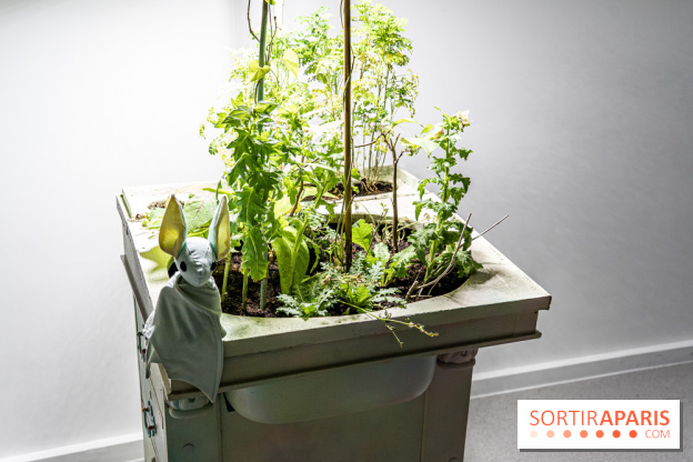 Exposition Avant l'orage à la Bourse de Commerce - Pinault Collection - urgence climatique