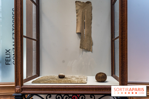 Exposition Avant l'orage à la Bourse de Commerce - Pinault Collection - urgence climatique