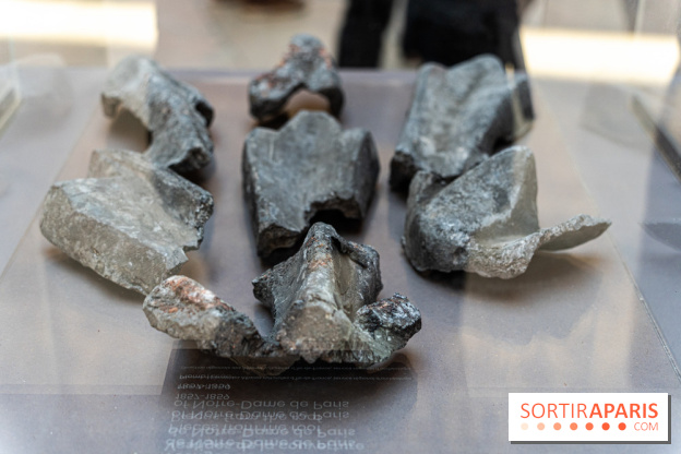 Exposition Notre-Dame de Paris - des bâtisseurs aux restaurateurs - Cité de l'Architecture -  A7C2741