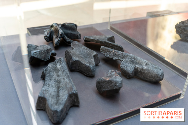 Exposition Notre-Dame de Paris - des bâtisseurs aux restaurateurs - Cité de l'Architecture -  A7C2743