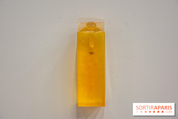 Exposition Exposé.es Palais de Tokyo Sida