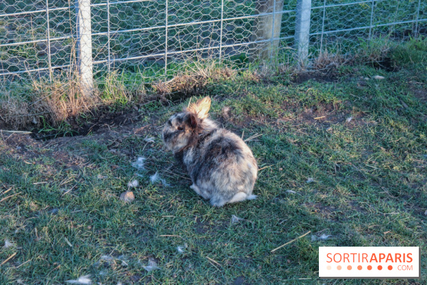 Fermes de Gally - Saint Denis - 2519A350 9450 4D01 A9DD 1475E42E0FC0