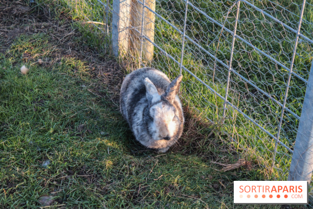 Fermes de Gally - Saint Denis - 7B906E6E 980C 475A 9B78 F3CD0CA64222