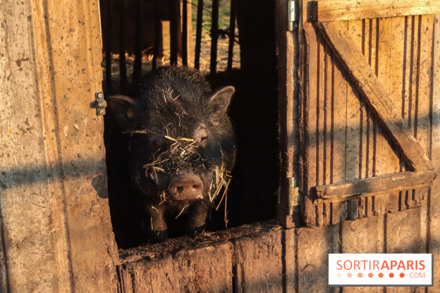 Fermes de Gally - Saint Denis - 582C69D9 6BE3 467E 8262 FB1C0E2DA12B