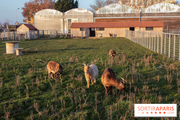 Fermes de Gally - Saint Denis - 121E8A17 ECDB 4F1B 90A8 CF8CA8E2C832