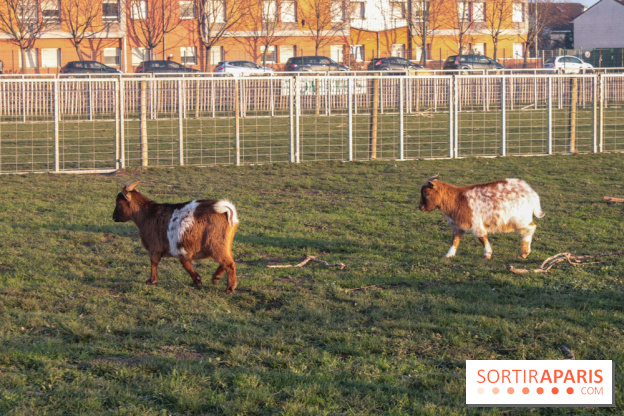 Fermes de Gally - Saint Denis - 85C3BDAD BB0B 44C8 8936 D4F8178C2E94