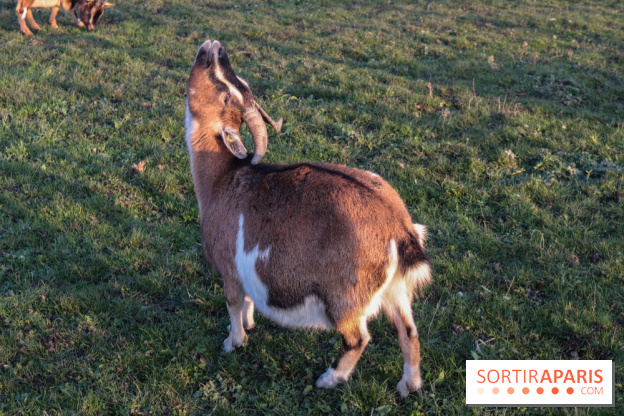 Fermes de Gally - Saint Denis - 834353FC B314 45B2 98C6 98084D078050