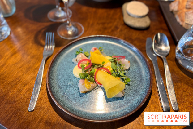 Perception - Sashimi daurade et tarama