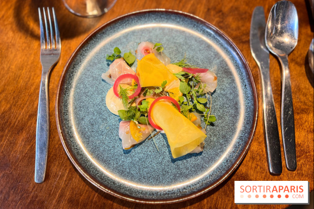 Perception - Sashimi daurade et tarama