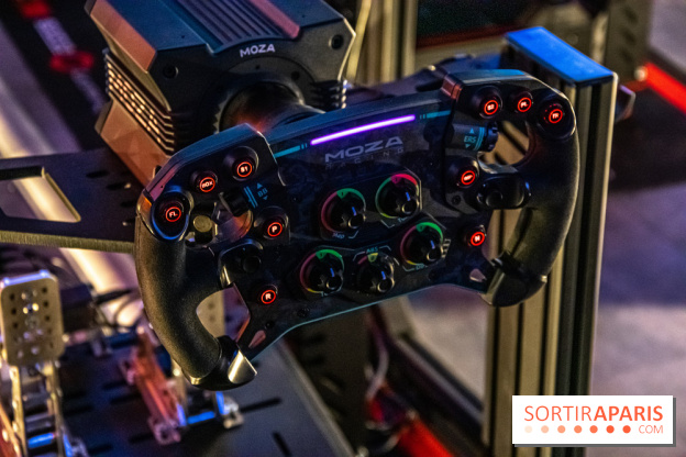 Sim Drivers volant formule 1