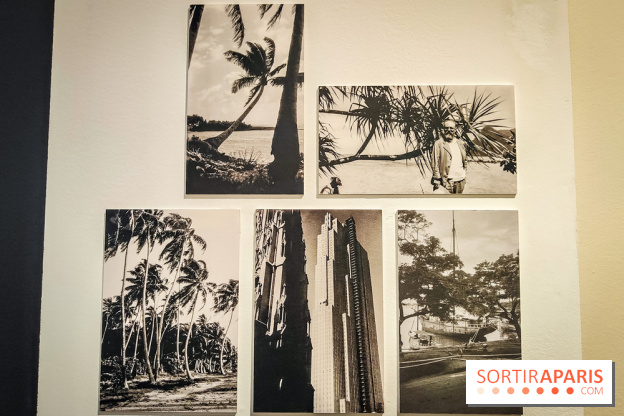 Matisse au musée de l'Orangerie : une exposition focus sur les années 1930 du peintre - nos photos - IMG20230301160729