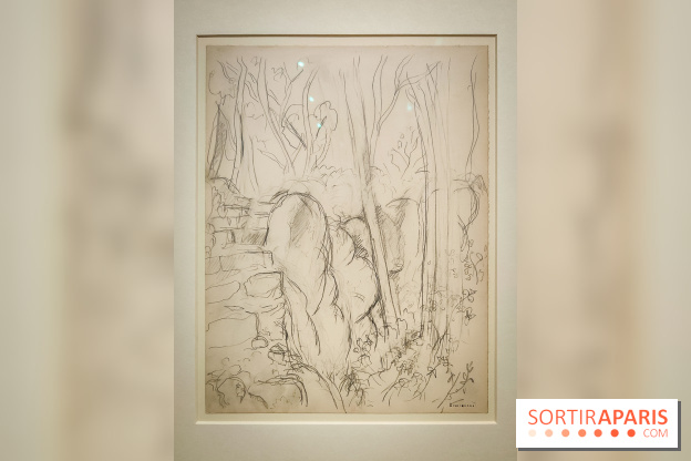 Matisse au musée de l'Orangerie : une exposition focus sur les années 1930 du peintre - nos photos - IMG20230301155735