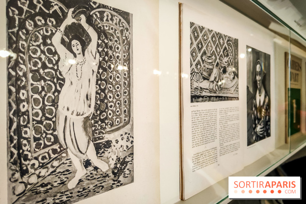 Matisse au musée de l'Orangerie : une exposition focus sur les années 1930 du peintre - nos photos - IMG20230301155228