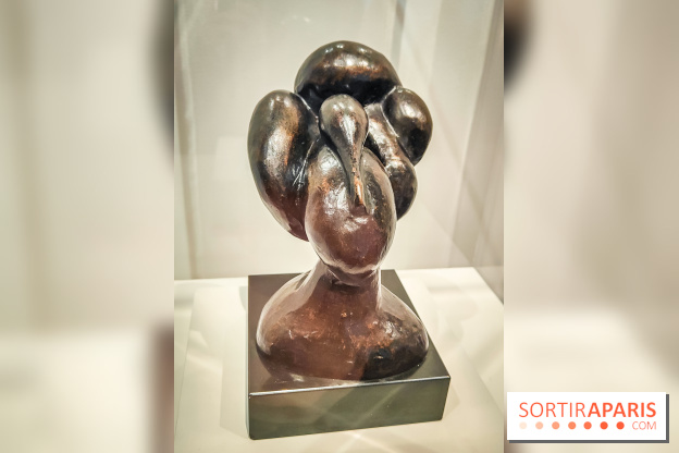 Matisse au musée de l'Orangerie : une exposition focus sur les années 1930 du peintre - nos photos - IMG20230301155415