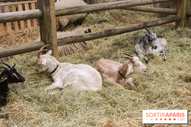 Salon de l'agriculture 2023 - 20230227180126 IMG 4013