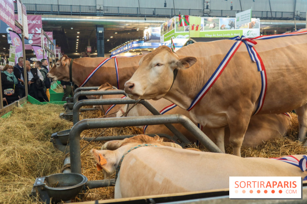 Salon de l'agriculture 2023