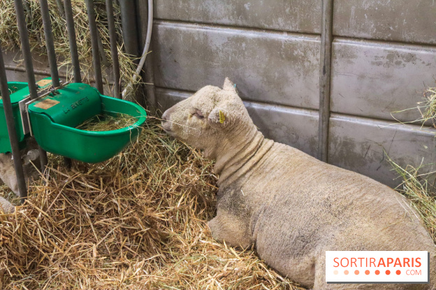 Salon de l'agriculture 2023