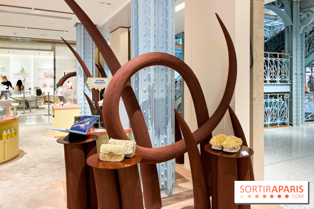 Paris à Poil(s) à la Samaritaine - image00009