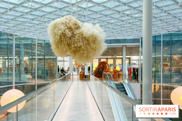 Paris à Poil(s) à la Samaritaine - image00011