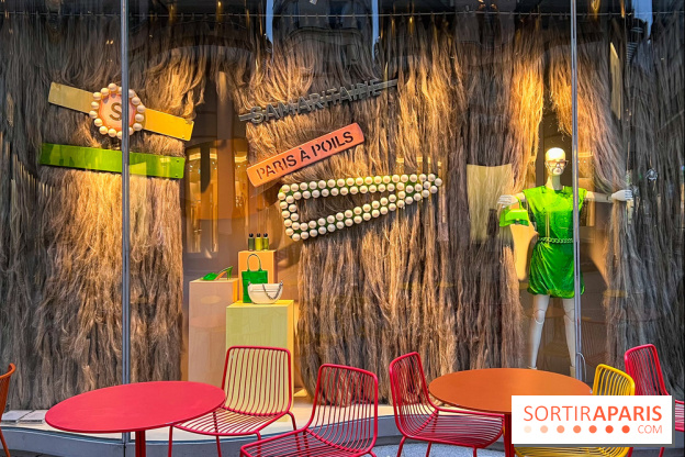 Paris à Poil(s) à la Samaritaine - image00004